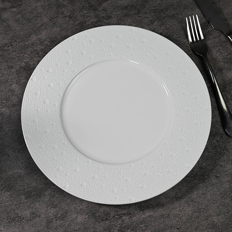fine ceramic tableware (10)
