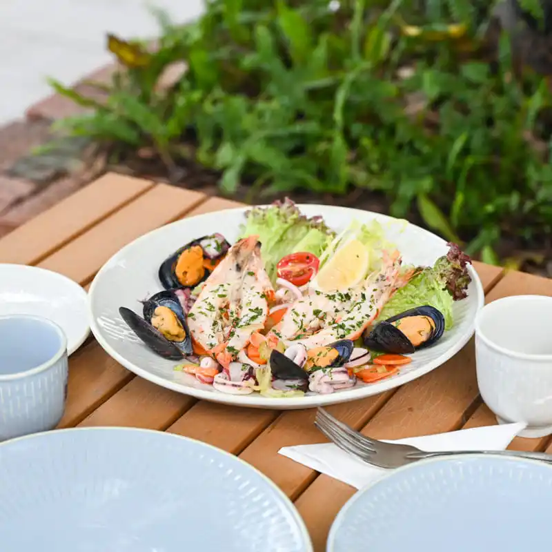 P&T Royal Ware porcelain dinnerware for demanding commercial washing