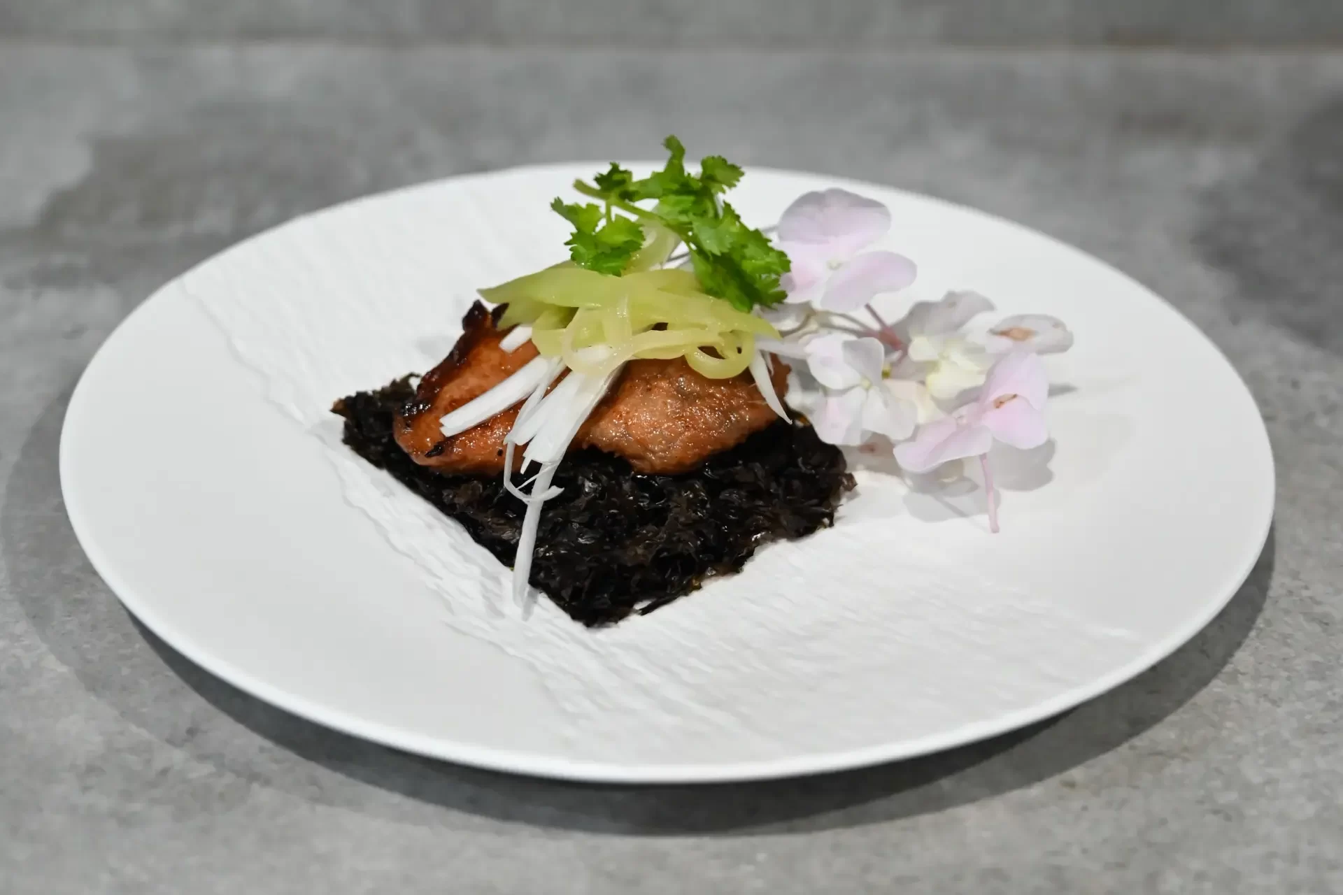 P&T Royal Ware porcelain plates approved for hotel procurement